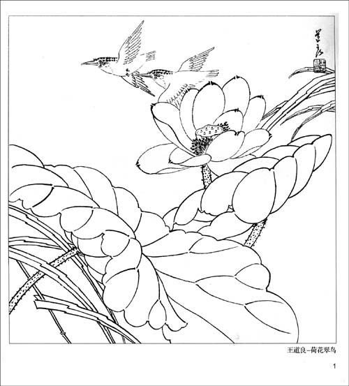 ʵð軭-