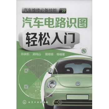 汽车电路识图轻松入门 