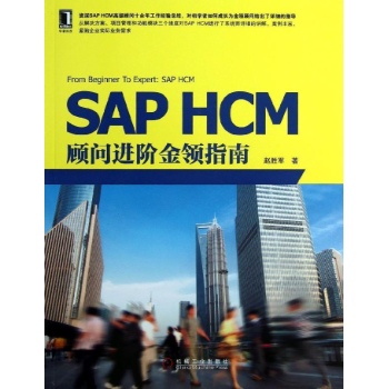 SAP HCM顾问进阶金领指南