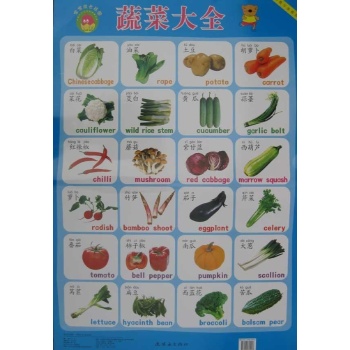 宝宝成长挂图：蔬菜大全与美味食物